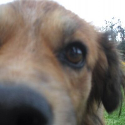 Profile Picture of Jairo Alberto Ochoa (@jairoa8a) on Twitter