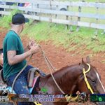 Profile Picture of Luis Pastor Gonzalez (@luisin_3029) on Instagram