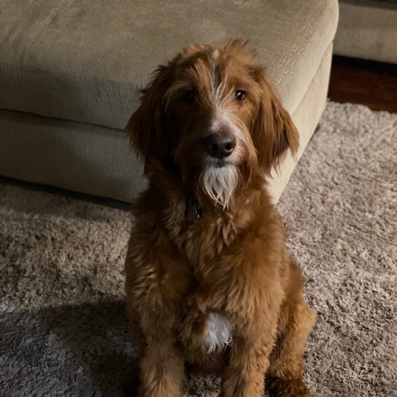 Profile Picture of Jake Goodman (@jgood2255) on Poshmark