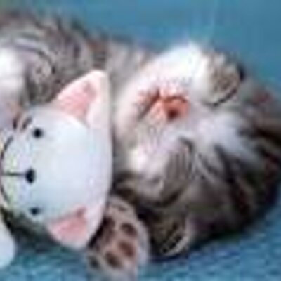 Profile Picture of JANET PETER (@JANETPETER) on Twitter