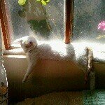 Profile Picture of Daniel (@macuto2142) on Instagram