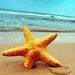 Profile Picture of Michele Joe Hogan (@michelehogan) on Pinterest