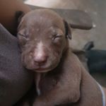 Profile Picture of Danae Patterson (@danae.patterson.773) on Instagram