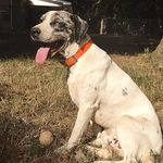 Profile Picture of John w hatley (@jhbaseandbasketball) on Instagram