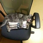 Profile Picture of Jacob Harrelson (@jucobii) on Instagram