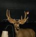 Profile Picture of David Thatcher (@david.thatcher.946) on Facebook