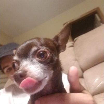 Profile Picture of Cotton Hutton (@charles2743) on Twitter