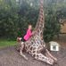 Profile Picture of Allie Risinger (@Allie-Risinger) on Facebook