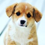 Profile Picture of Marc Pohle (@pohlemarc) on Instagram