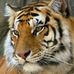 Profile Picture of Joe Castell (@joe.castell.33) on Facebook