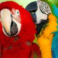 Profile Picture of Zoe Walsh (@zoe-walsh-11) on Quora