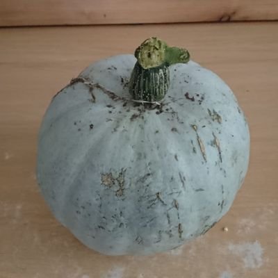 Profile Picture of Ian Owen (@irowen4) on Twitter