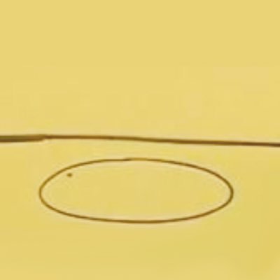 Profile Picture of ZZZZZZZZX (@ZHengXuAn_) on Twitter