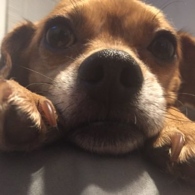 Profile Picture of Albert Gordon (@albertg46041136) on Twitter