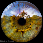 Profile Picture of Idlefrog Photo (@Idlefrog Photo) on Flickr