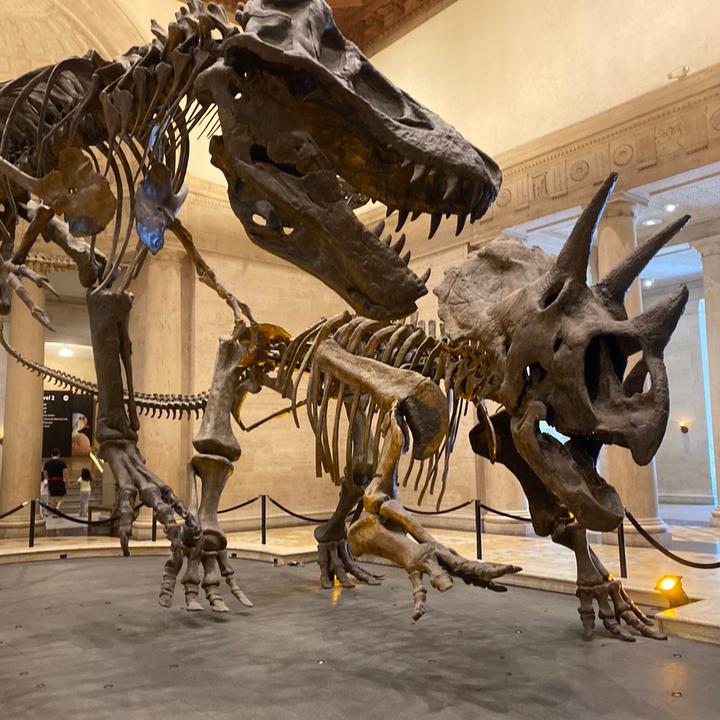 Profile Picture of Michael McCuaig (@micmcchauaelig) on Tiktok