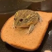 Profile Picture of Sebastian Hansen (@sebastianhansen8517) on Youtube