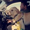 Profile Picture of RyAndArrow23 (@ryandarrow23) on Tiktok
