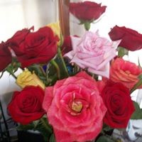 Profile Picture of Marla Richards (@marla-richards-3) on Quora