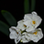 Profile Picture of Matthew Chiaramonte (@mattchiara) on Flickr