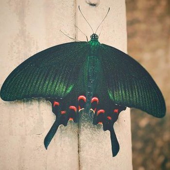 Profile Picture of Db.Ferdinand David Official (@db_ferdinand) on Twitter