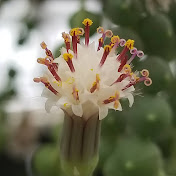 Profile Picture of Max Gilliland (@maxgilliland8274) on Youtube