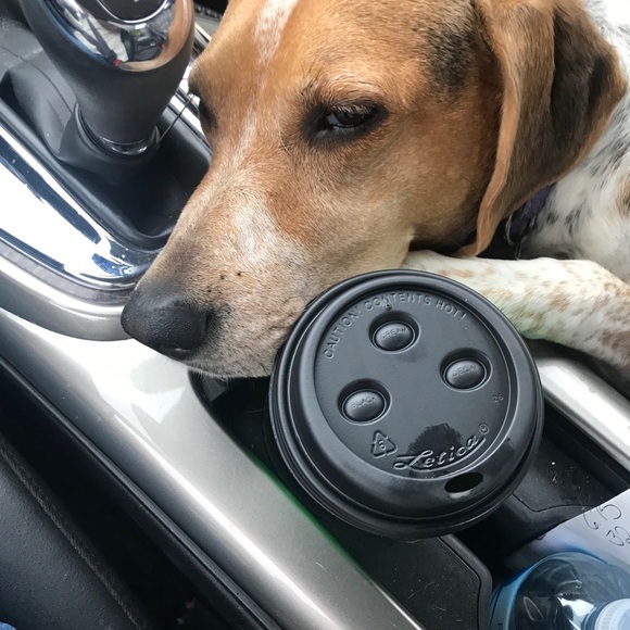 Profile Picture of Teresa Swink (@makeadealswink) on Poshmark