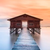Profile Picture of user2232453938278 (@ruboch) on Tiktok