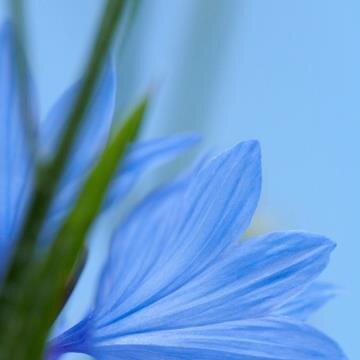 Profile Picture of Simon Manser (@ManserSimon) on Twitter