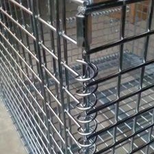 Profile Picture of Fan Qing (@FanQing10) on Twitter