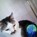 Profile Picture of Lisa Dawes (@lisa.dawes.14) on Facebook