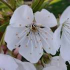 Profile Picture of   TikTok Julia Szymczak... (@user3sa9b6jd6q) on Tiktok