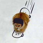 Profile Picture of tony lucarelli (@tonyluc1973) on Instagram