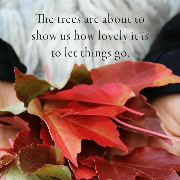 Profile Picture of Rebecca Testa (@wjma) on Poshmark