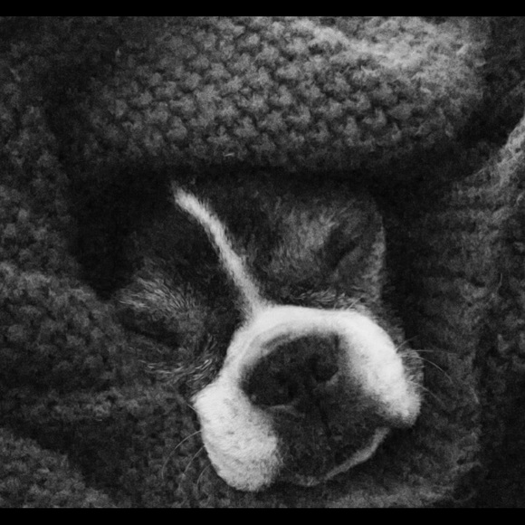 Profile Picture of Lacy Fielding (@lacyfielding831) on Poshmark