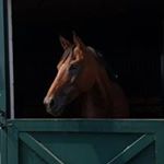 Profile Picture of Sandra Schneider Shadburne (@schneidershadburne) on Instagram