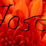 Profile Picture of David Cordero (@davidcordero798) on Flickr