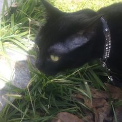 Profile Picture of Craig Qualls281 (@craigqualls) on Tiktok