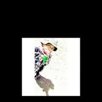 Profile Picture of FLVCKO (@chris_flacko) on Instagram