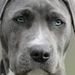 Profile Picture of Andrew Passmore (@26passan) on Pinterest