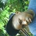 Profile Picture of Iriclenio Ernesto Gosma Tpc (@domingosernesto.manik) on Facebook
