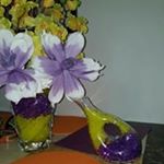 Profile Picture of Veronica Lambert (@lambert.veronica) on Instagram