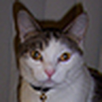 Profile Picture of Matthew Weaver (@zephyr242) on Flickr