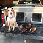 Profile Picture of schuckkyle (@schuckkyle) on Instagram