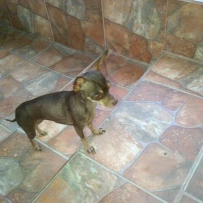 Profile Picture of Alex Alberto Jerez (@@AlexAlbert14) on Twitter