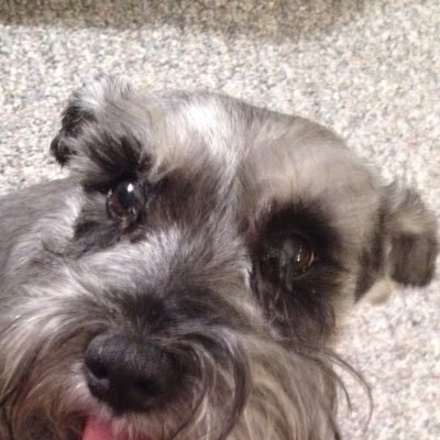 Profile Picture of Jean Hoffmann (@athoffann12jean) on Twitter