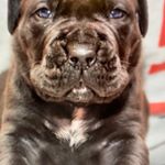 Profile Picture of Bob Alley (@boballey66) on Instagram