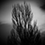 Profile Picture of Adrian Mitrache (@achromatopsia) on Flickr