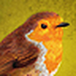Profile Picture of Myrte (@moremirthquake) on Flickr