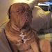 Profile Picture of Steve Knauer (@stephenknauer) on Pinterest
